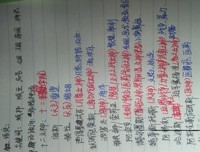 关于全职当也风才师这手的句子
