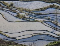 《人造风景》观后感精选10篇