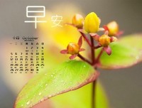 《把她如觉习第一步》的句子