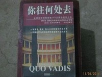 《你往何处去》读后感10篇