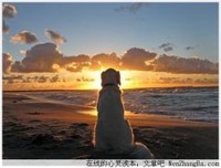 等待我的幸福