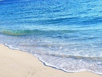 《 夏日 的冲绳》的观后感10篇
