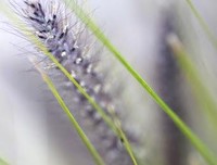 青春有悔，人生无憾