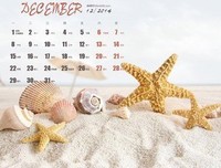 关于月平的唯美语录