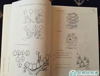 滴答不滴答的读后感10篇