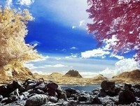 《30岁前,最好的修行是恋爱》经典读后感10篇
