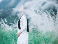 青春正好句子大全