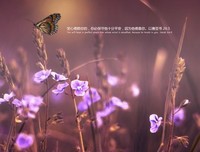 今日灵修：神对聆听的人说