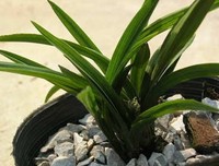 《无影剑》观后感精选10篇