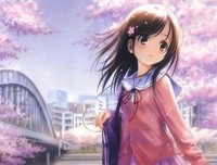 关于年都年的优美句子