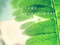 关于加贺的唯美语录