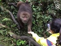 峨眉山跳崖女孩：生活，比你想象中要艰难得多