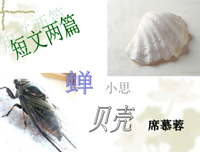 《海霞》经典影评10篇