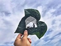 这辈子, 能爱就爱, 能聚就聚吧! (超赞)