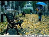 不懂真好，懂了更好