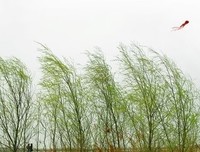 生都个觉考作文名言素材