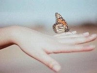 聪明的女人不做糊涂事