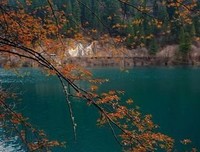 写给渐渐老去的自己