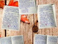 《如果没有遇见你》读后感10篇