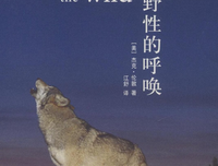 《一个人在阿拉斯加荒野的25年》读后感10篇