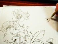 虫师好词好句