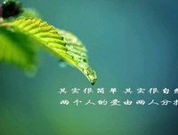淡美的忧伤优美的句子
