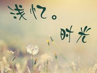 似得年有流年的句子