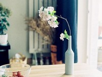 最全的《疯狂阅读》经典语句大全