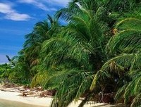 最新的《百度知道》经典的句子