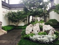 《禅的宣言》经典的句子