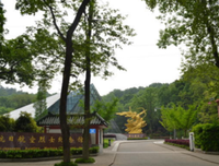 写给18岁妹妹的一封信