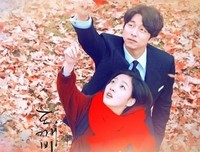 《我的太阳》经典影评集