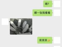 约P被女友发现分手了，近期天天梦见她，该不该去挽回？