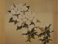 《南方女王》读后感10篇