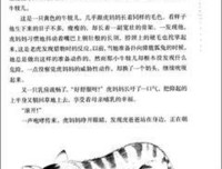 狐狸打猎人的故事读后感10篇