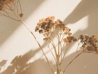 不恋过往，不慕将来，不负当下，如此安好