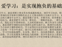爱不羞愧，嘲笑爱的人才该羞愧