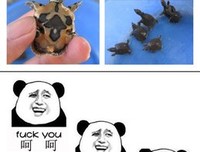 关于你而的句子