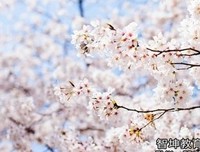 我不后悔我爱过她，只是后悔浪费了这五年的光阴...