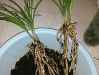 《心·心》观后感精选10篇