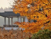 秋意浓，念无恙