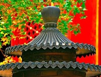 怎么样活在当下，会影响我们的未来