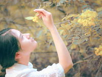 《闪亮的日子》观后感精选10篇