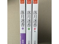 《落月迷香》读后感10篇