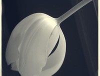 洋娃娃1