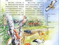 《一个人走欧洲》经典读后感10篇