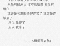关于小说中的句子