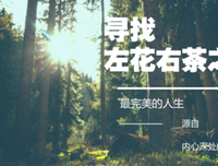郑俊雅名言大全