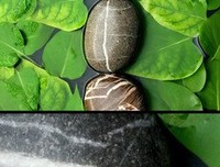 《水中漫步》经典观后感10篇