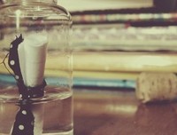  花落成空经典的句子